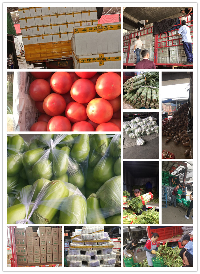 中国·6163天河(股份)有限公司-官方网站