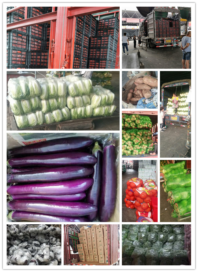 中国·6163天河(股份)有限公司-官方网站