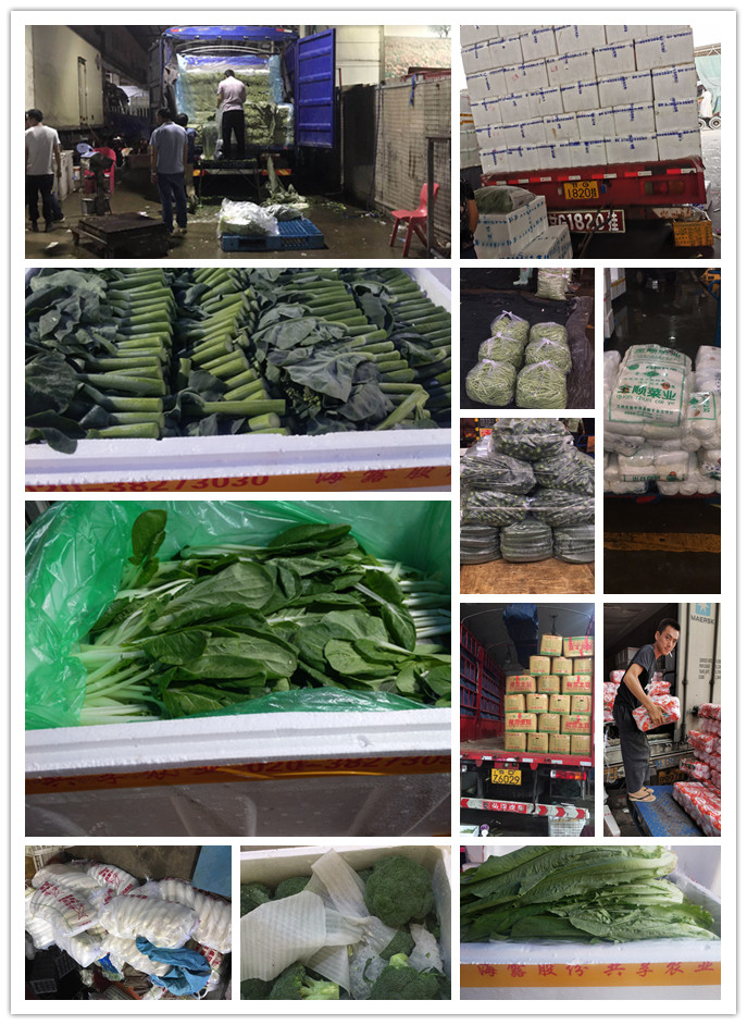 中国·6163天河(股份)有限公司-官方网站