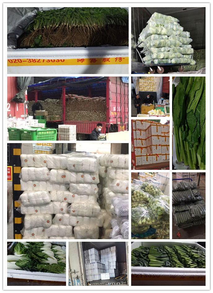 中国·6163天河(股份)有限公司-官方网站