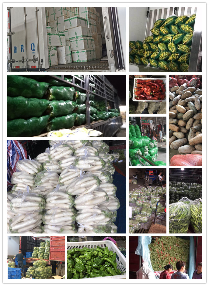 中国·6163天河(股份)有限公司-官方网站