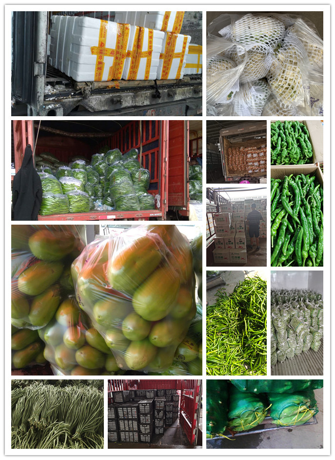 中国·6163天河(股份)有限公司-官方网站