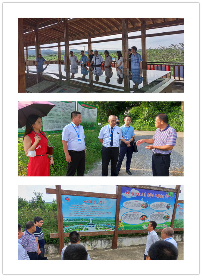 中国·6163天河(股份)有限公司-官方网站