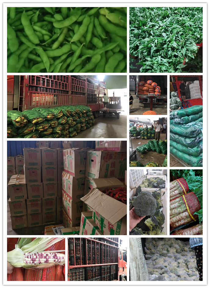 中国·6163天河(股份)有限公司-官方网站