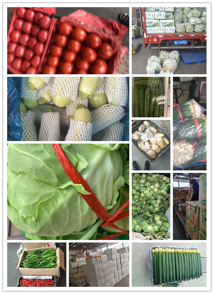 中国·6163天河(股份)有限公司-官方网站