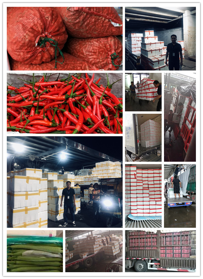 中国·6163天河(股份)有限公司-官方网站