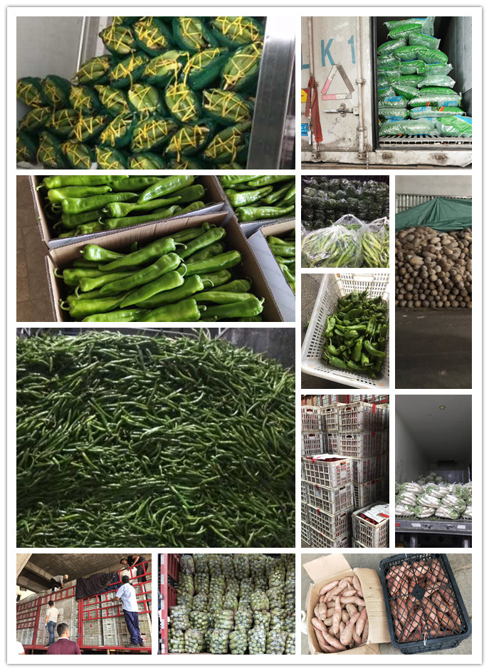 中国·6163天河(股份)有限公司-官方网站