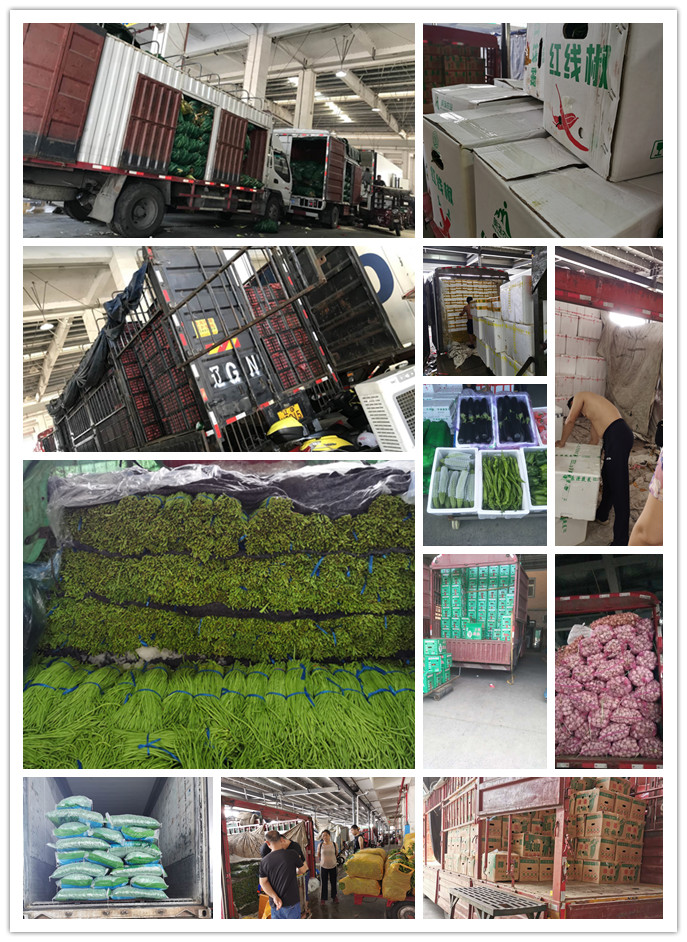 中国·6163天河(股份)有限公司-官方网站