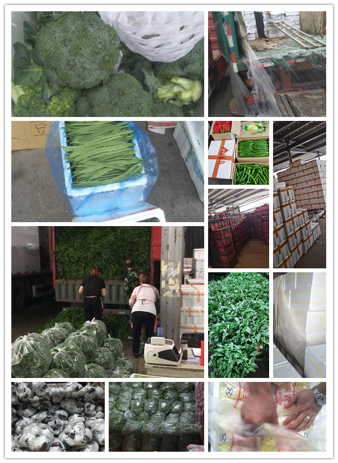 中国·6163天河(股份)有限公司-官方网站