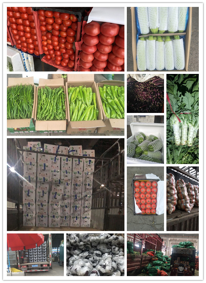 中国·6163天河(股份)有限公司-官方网站