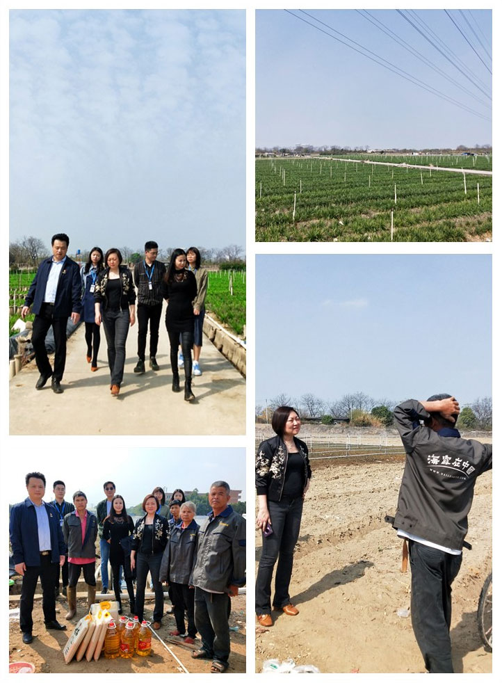 中国·6163天河(股份)有限公司-官方网站