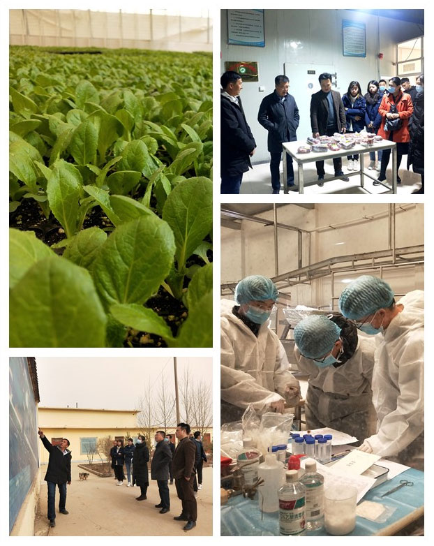 中国·6163天河(股份)有限公司-官方网站