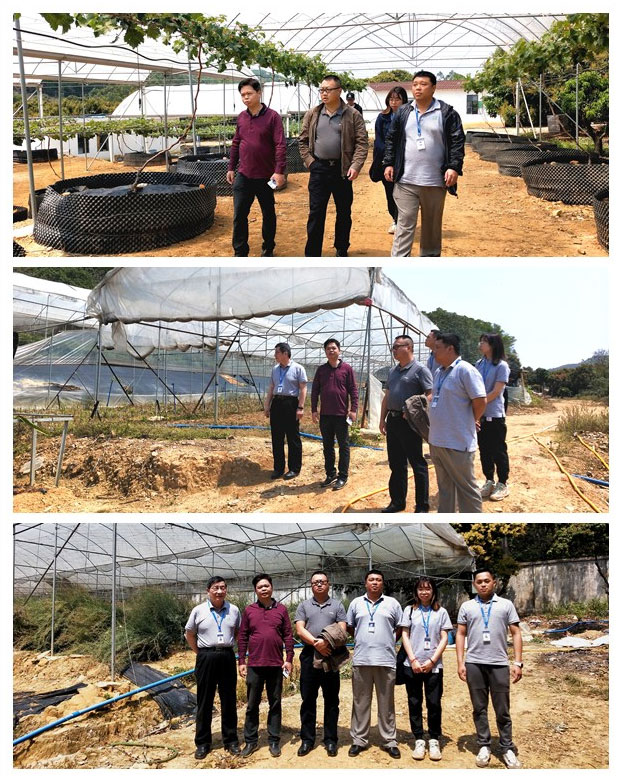 中国·6163天河(股份)有限公司-官方网站