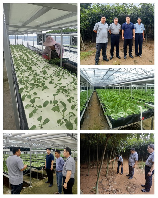 中国·6163天河(股份)有限公司-官方网站