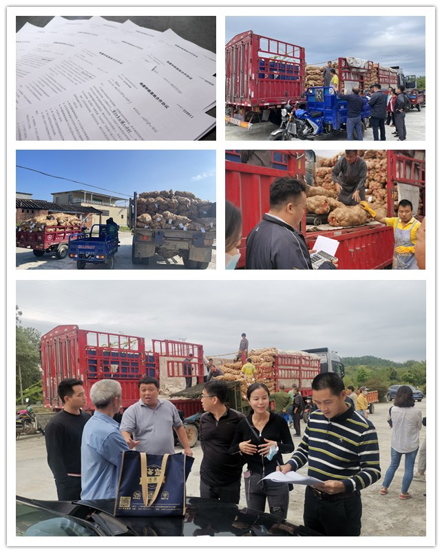 中国·6163天河(股份)有限公司-官方网站