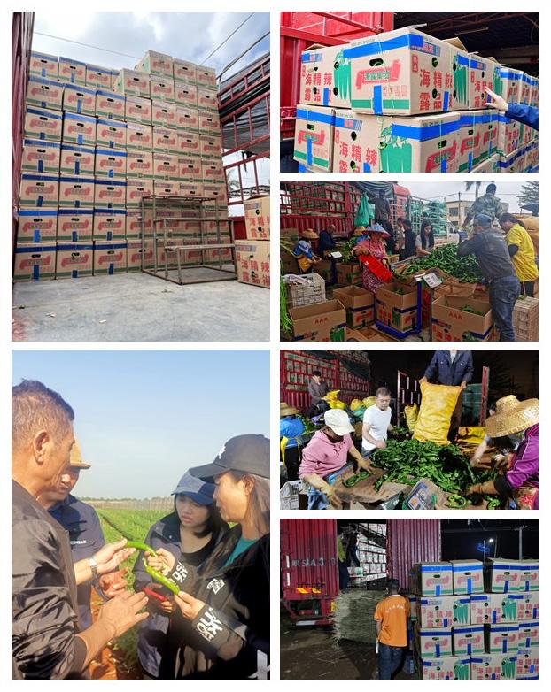 中国·6163天河(股份)有限公司-官方网站