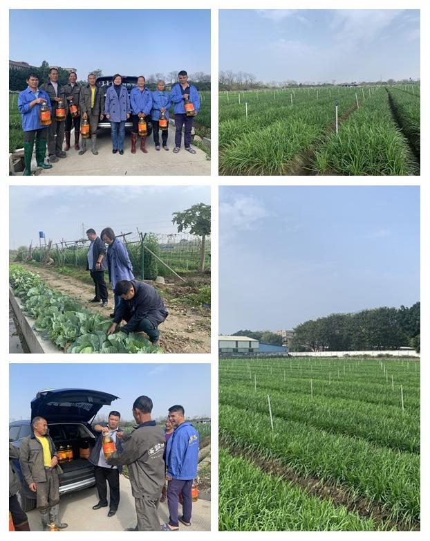 中国·6163天河(股份)有限公司-官方网站