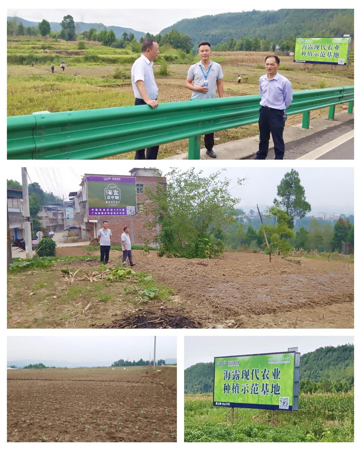 中国·6163天河(股份)有限公司-官方网站