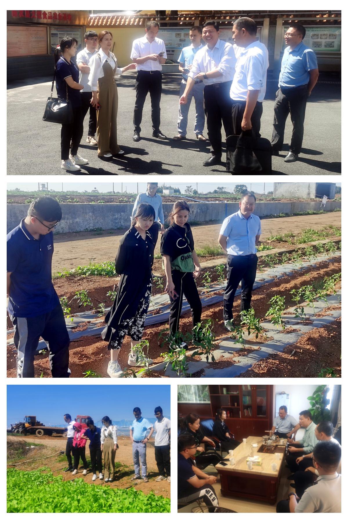 中国·6163天河(股份)有限公司-官方网站