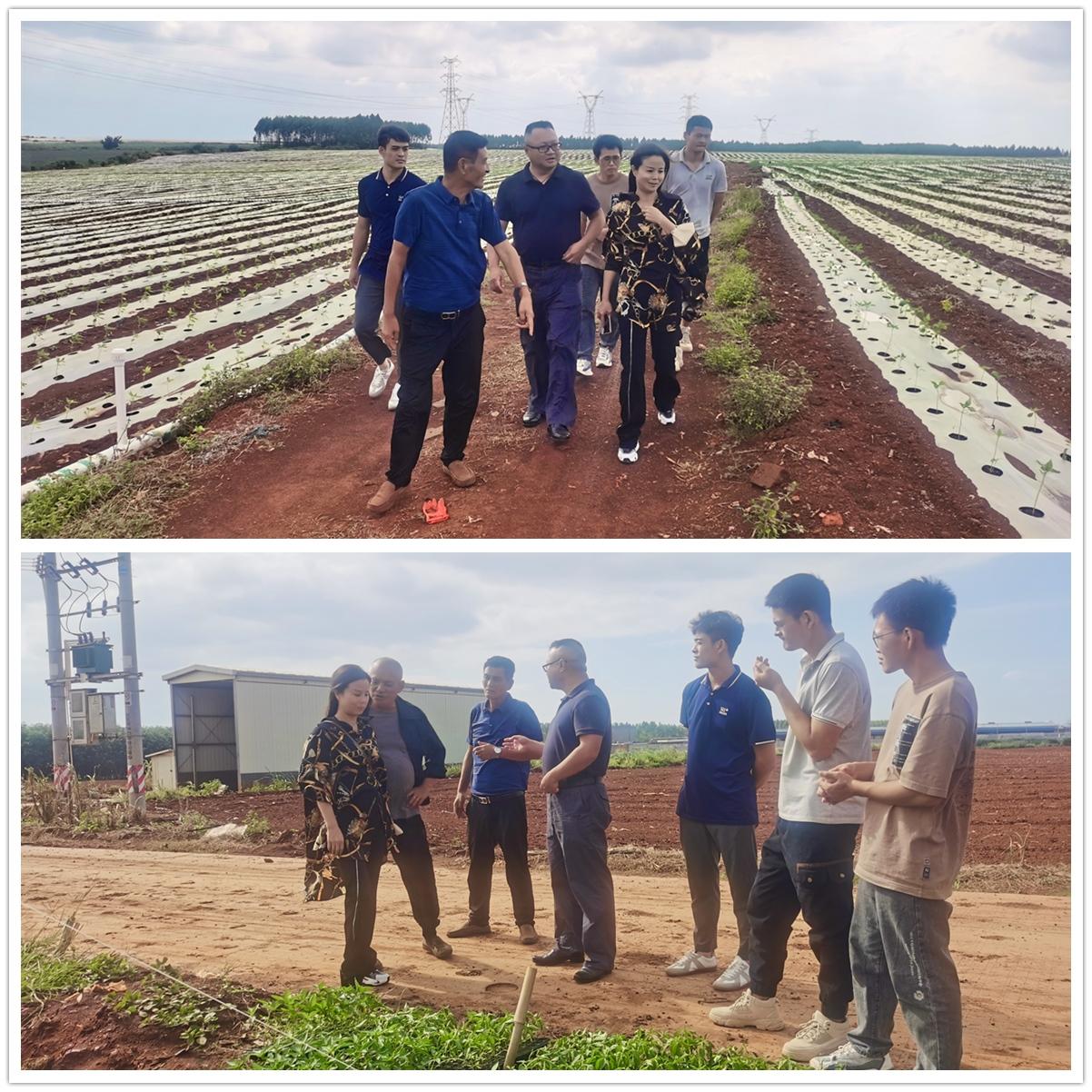 中国·6163天河(股份)有限公司-官方网站