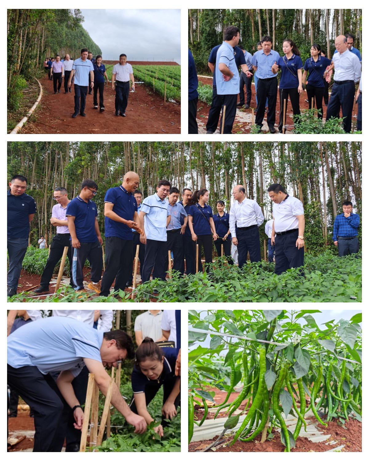 中国·6163天河(股份)有限公司-官方网站