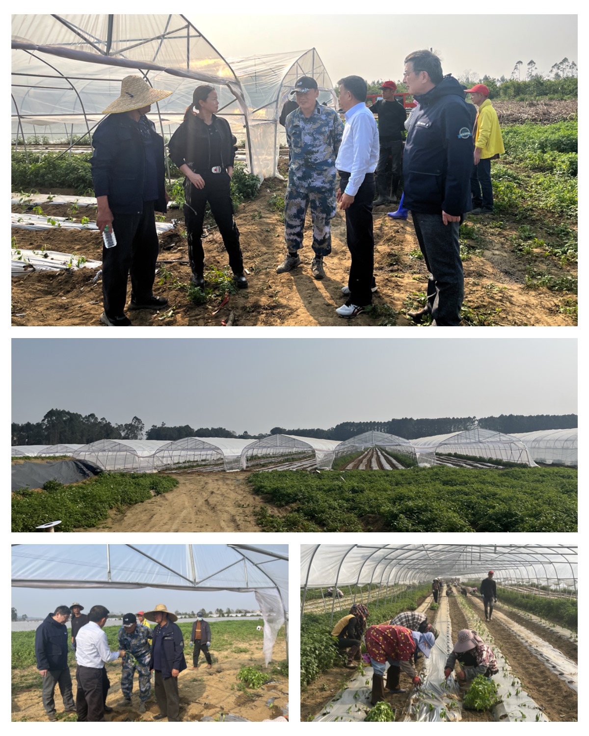 中国·6163天河(股份)有限公司-官方网站