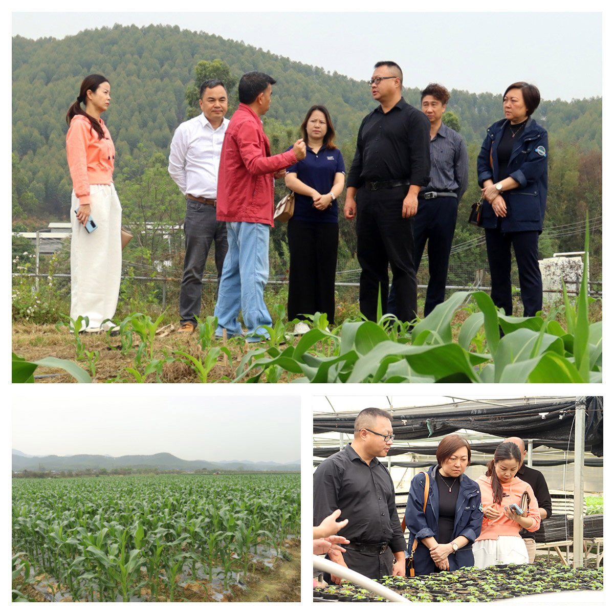 中国·6163天河(股份)有限公司-官方网站