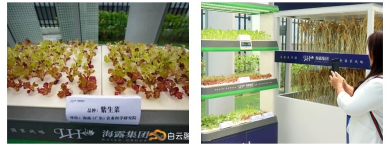 中国·6163天河(股份)有限公司-官方网站