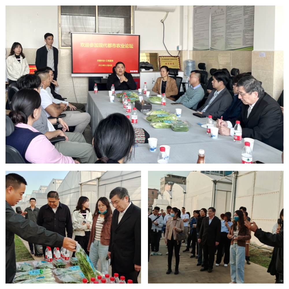 中国·6163天河(股份)有限公司-官方网站