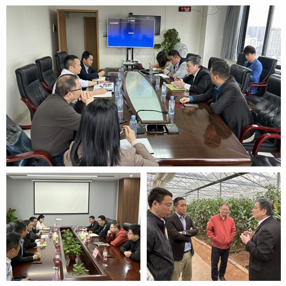 中国·6163天河(股份)有限公司-官方网站