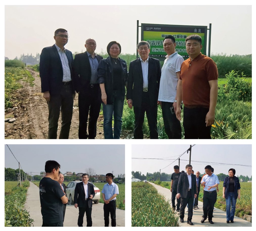 中国·6163天河(股份)有限公司-官方网站