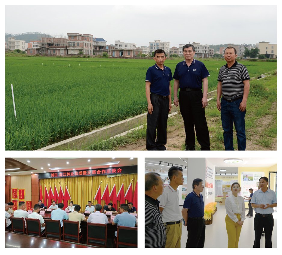 中国·6163天河(股份)有限公司-官方网站