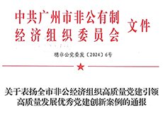 集团党支部荣获广州市优良党建创新案例二等奖及优胜奖