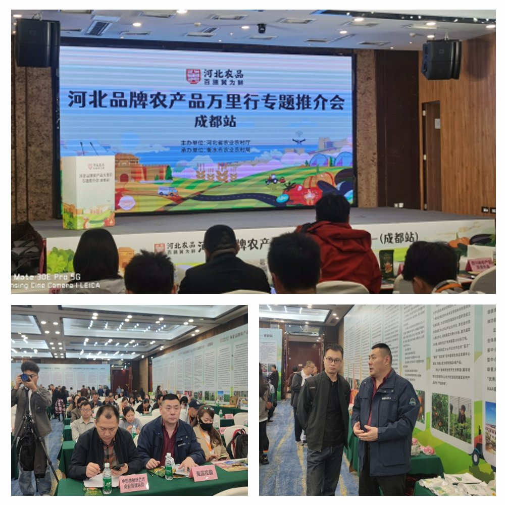 中国·6163天河(股份)有限公司-官方网站