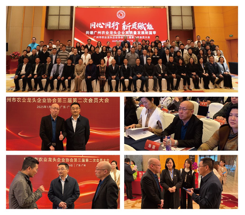 中国·6163天河(股份)有限公司-官方网站