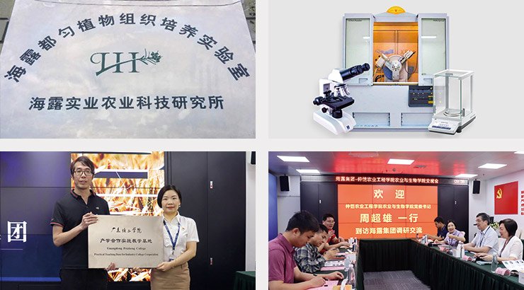 中国·6163天河(股份)有限公司-官方网站