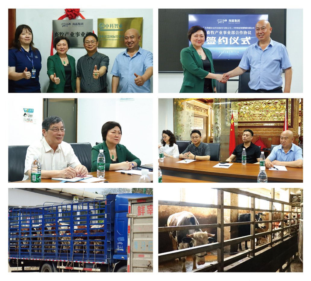 中国·6163天河(股份)有限公司-官方网站