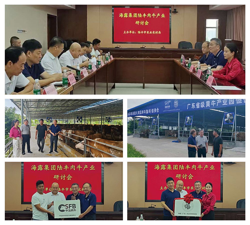 中国·6163天河(股份)有限公司-官方网站