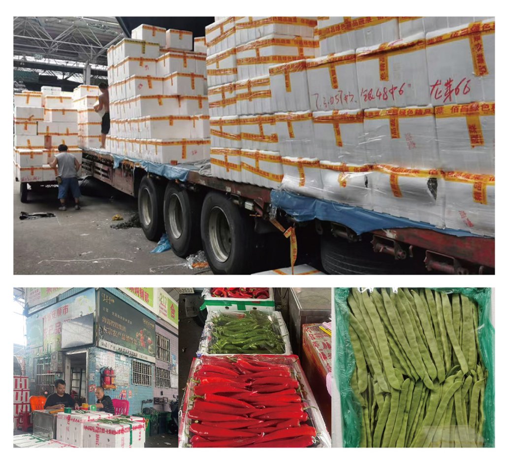 中国·6163天河(股份)有限公司-官方网站