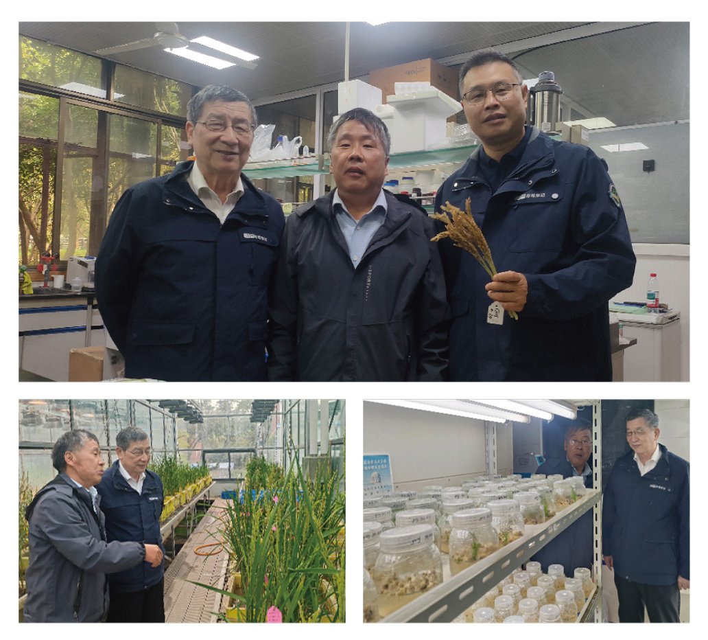 中国·6163天河(股份)有限公司-官方网站